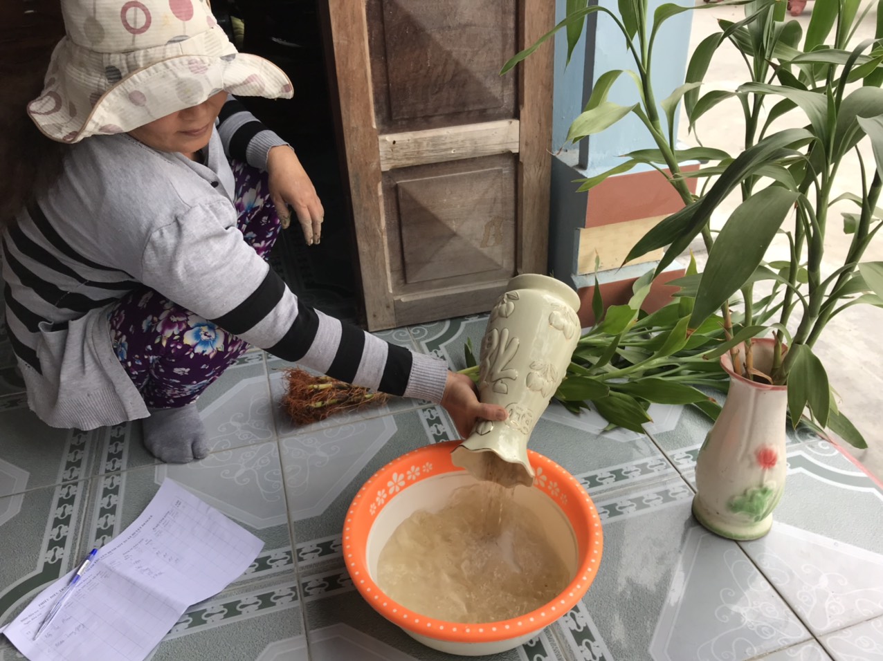 Tăng cường phòng chống sốt xuất huyết ngay sau khi các xã mới đi vào hoạt động từ 1/7/2025